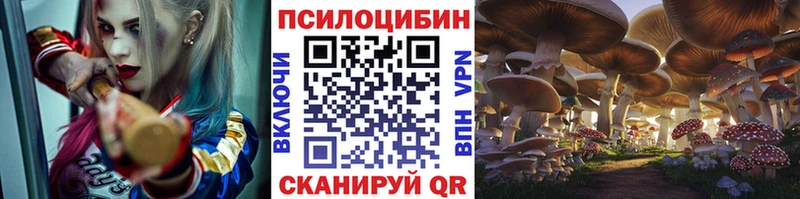 Купить закладки  Юрга  Псилоцибиновые грибы GOLDEN TEACHER 